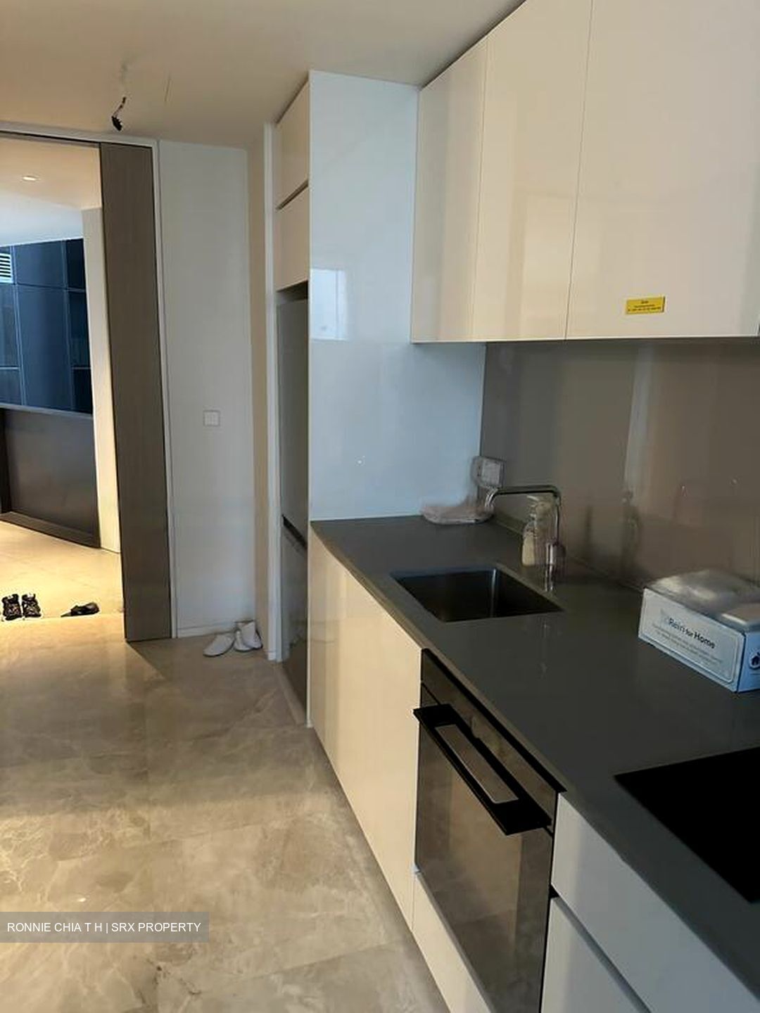 Amber Park (D15), Condominium #471385001